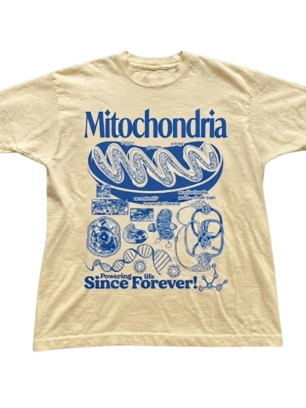 Mitochondria Biology Science Graphic Heavy Cotton Gildan T-Shirt